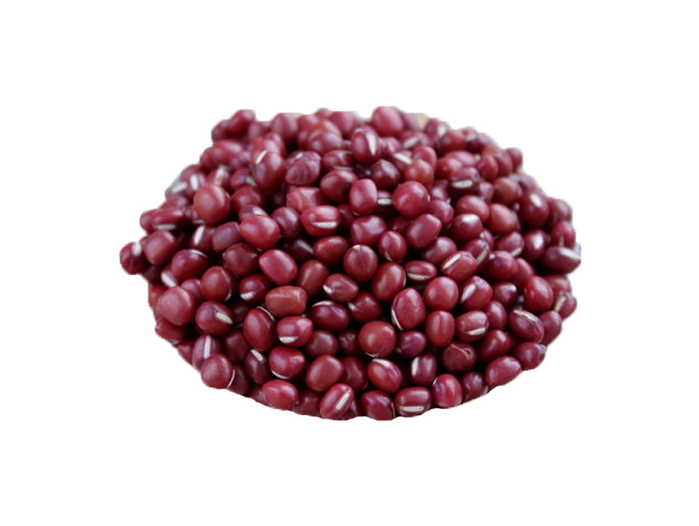 Red Bean