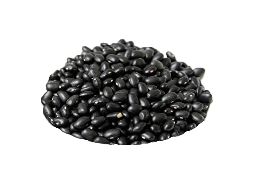 Black Bean